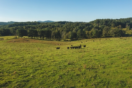 Open Building Land for Sale in Floyd County VA! - image 2