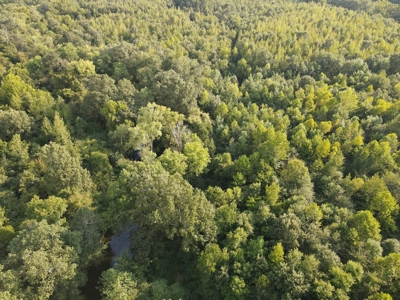 Hunting Property in Saline County Arkansas - image 9