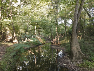 Hunting Property in Saline County Arkansas - image 12
