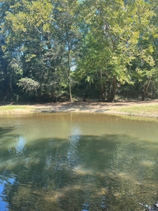 Hunting Property in Saline County Arkansas - image 44