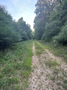 Hunting Property in Saline County Arkansas - image 2