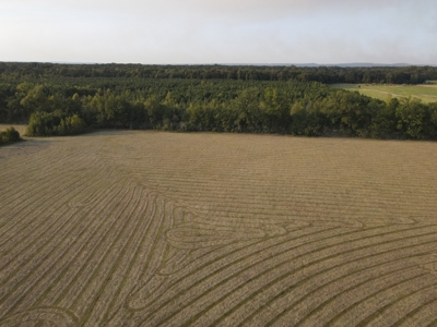 Hunting Property in Saline County Arkansas - image 33