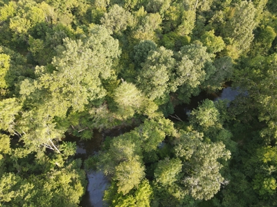 Hunting Property in Saline County Arkansas - image 8