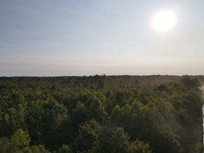 Hunting Property in Saline County Arkansas - image 20
