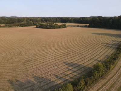 Hunting Property in Saline County Arkansas - image 36
