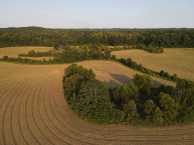 Hunting Property in Saline County Arkansas - image 34