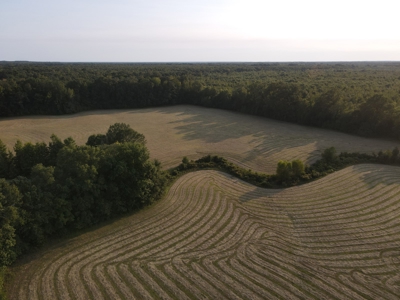 Hunting Property in Saline County Arkansas - image 30
