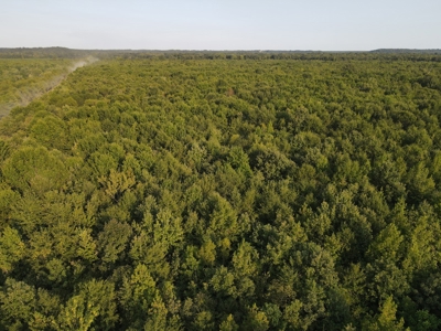 Hunting Property in Saline County Arkansas - image 15