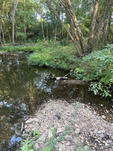 Hunting Property in Saline County Arkansas - image 6