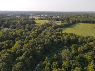 Hunting Property in Saline County Arkansas - image 7