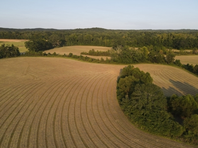Hunting Property in Saline County Arkansas - image 32