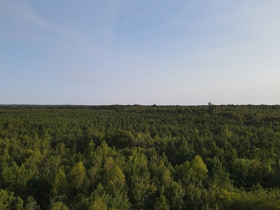 Hunting Property in Saline County Arkansas - image 21