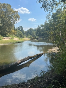 Hunting Property in Saline County Arkansas - image 43