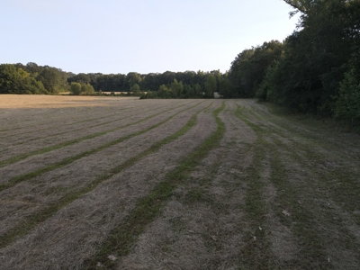Hunting Property in Saline County Arkansas - image 26