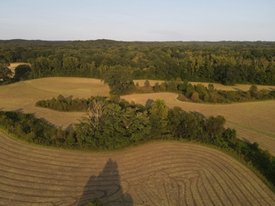 Hunting Property in Saline County Arkansas - image 31