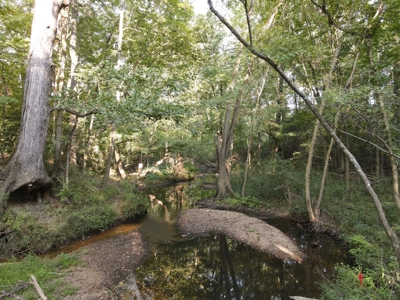 Hunting Property in Saline County Arkansas - image 13
