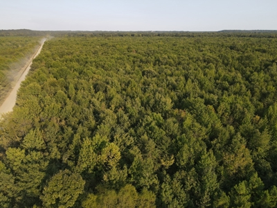 Hunting Property in Saline County Arkansas - image 16