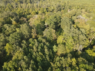 Hunting Property in Saline County Arkansas - image 10