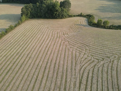 Hunting Property in Saline County Arkansas - image 27