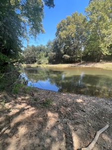 Hunting Property in Saline County Arkansas - image 42