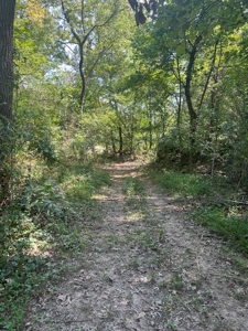 Hunting Property in Saline County Arkansas - image 41