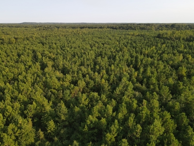 Hunting Property in Saline County Arkansas - image 18