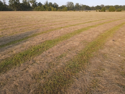 Hunting Property in Saline County Arkansas - image 25