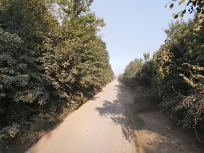 Hunting Property in Saline County Arkansas - image 22