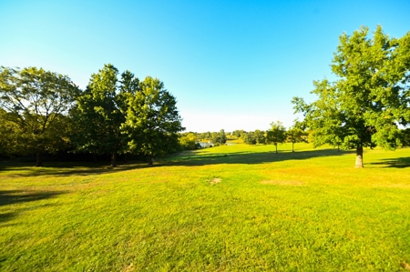 Home with Land For Sale Garden City Missouri - image 45