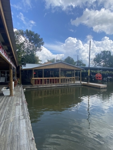 Land for Sale in Decatur County, Tennessee - image 25