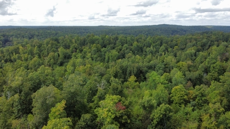 Land for Sale in Decatur County, Tennessee - image 16