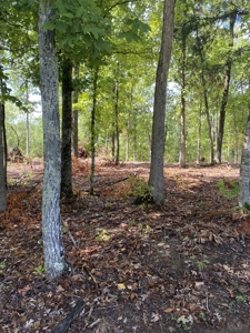 Land for Sale in Decatur County, Tennessee - image 7