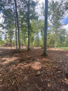 Land for Sale in Decatur County, Tennessee - image 12