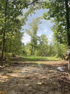 Land for Sale in Decatur County, Tennessee - image 5
