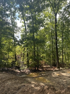 Land for Sale in Decatur County, Tennessee - image 6