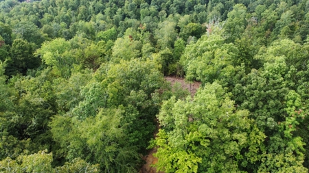 Land for Sale in Decatur County, Tennessee - image 15
