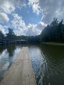 Land for Sale in Decatur County, Tennessee - image 27