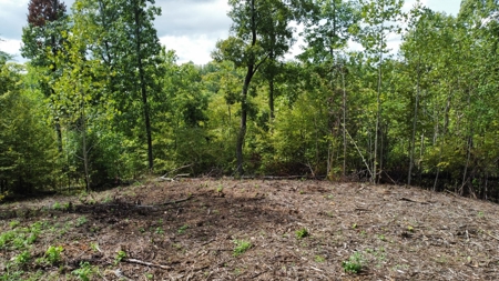 Land for Sale in Decatur County, Tennessee - image 2