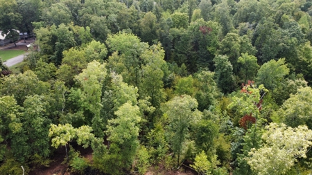 Land for Sale in Decatur County, Tennessee - image 17