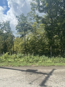 Land for Sale in Decatur County, Tennessee - image 24