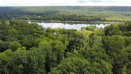 Land for Sale in Decatur County, Tennessee - image 1
