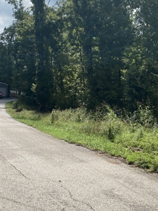 Land for Sale in Decatur County, Tennessee - image 23