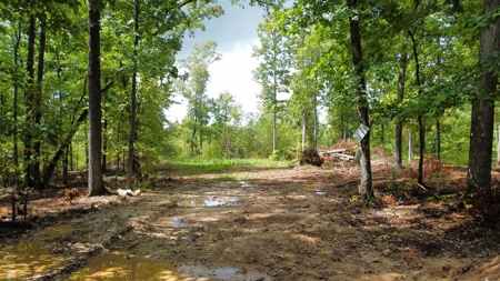 Land for Sale in Decatur County, Tennessee - image 4