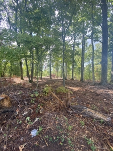Land for Sale in Decatur County, Tennessee - image 14