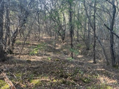 Coastal property for sale - image 7