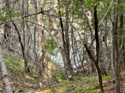 Coastal property for sale - image 9
