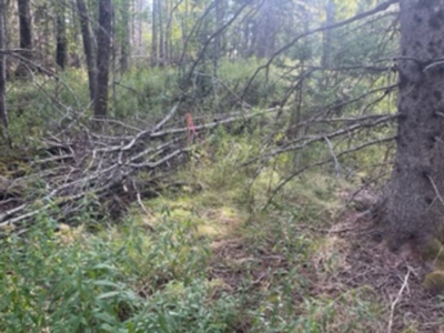 Coastal property for sale - image 11