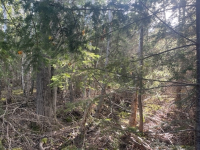 Coastal property for sale - image 4