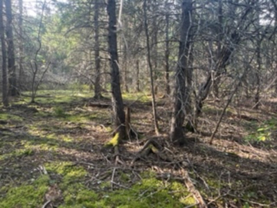Coastal property for sale - image 6