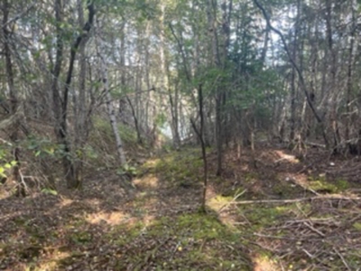 Coastal property for sale - image 10
